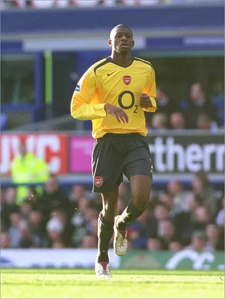 Abou Diaby's Victory: Arsenal 1-0 Everton, FA Premiership, Goodison Park, 2006