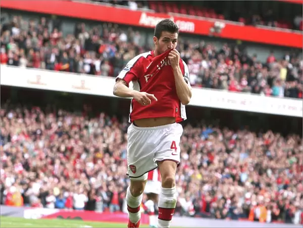 Cesc Fabregas celebrates scoring the 4th Arsenal goal