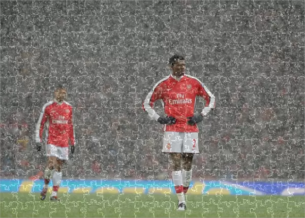 Abou Diaby: Arsenal's Midfield Battle at Emirates Against Everton (2-2), Barclays Premier League