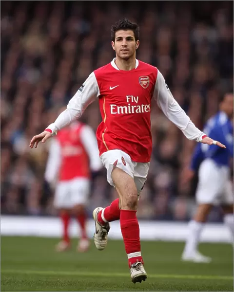 Cesc Fabregas: Leading Arsenal to Victory at Goodison Park, 18 / 3 / 2007