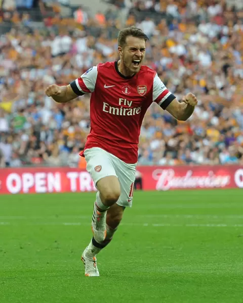 Arsenal's FA Cup Triumph: Ramsey Scores the Decisive Goal Against Hull City