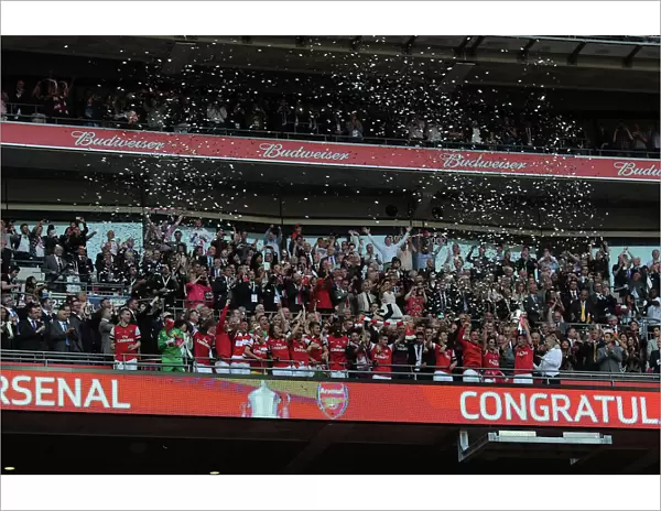 Thomas Vermaelen Lifts the FA Cup: Arsenal's Triumph at Wembley Stadium