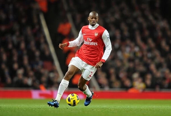 Abou Diaby Scores the Winner: Arsenal 2-1 Everton, Barclays Premier League, Emirates Stadium (2011)