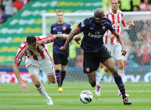 Abou Diaby vs. Geoff Cameron: A Battle at Britannia Stadium - Stoke City vs. Arsenal (2012-13)