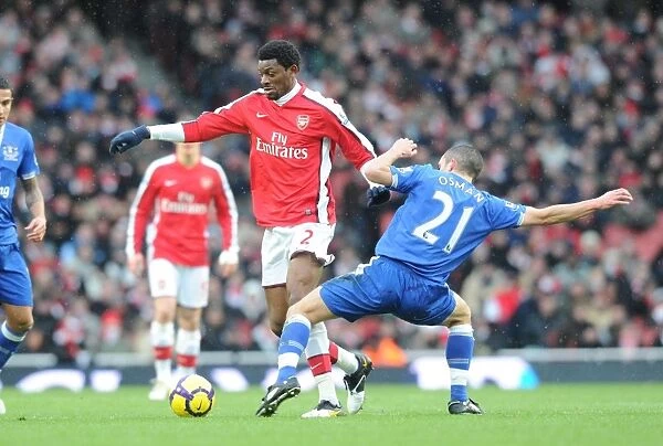Abou Diaby vs. Leon Osman: Draw at the Emirates, Arsenal vs. Everton, Premier League 2010