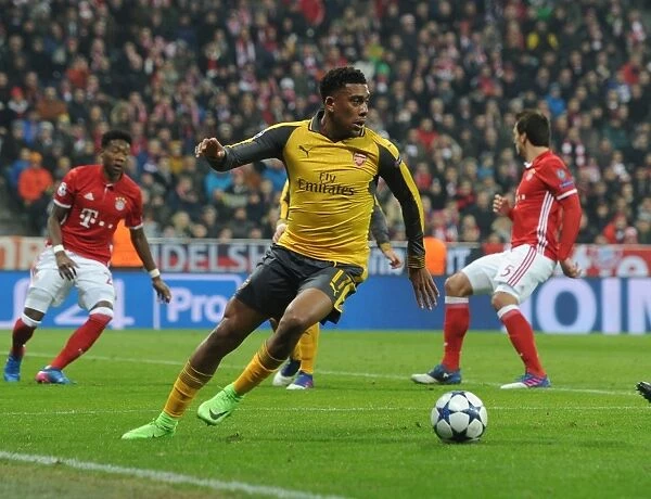 Alex Iwobi vs Bayern Munich: Arsenal's Rising Star Takes on Champions League Titans