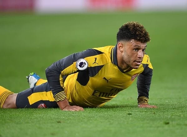 Alex Oxlade-Chamberlain: In Action for Arsenal Against Middlesbrough, Premier League 2016-17