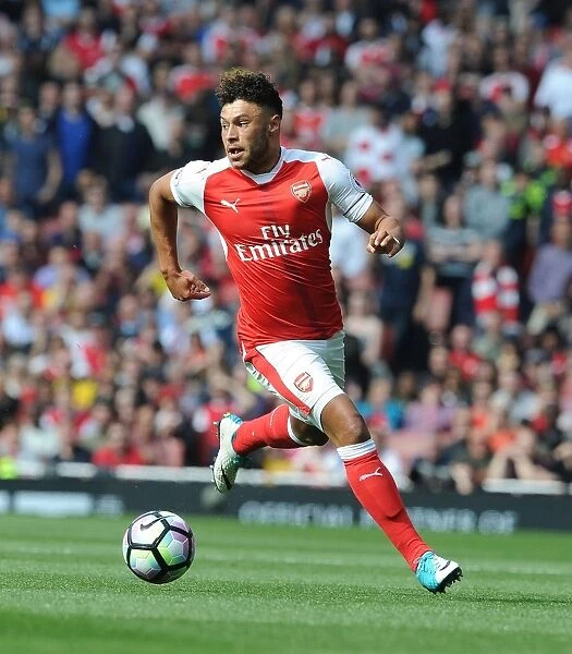 Alex Oxlade-Chamberlain in Action: Arsenal vs Manchester United, Premier League 2016-17