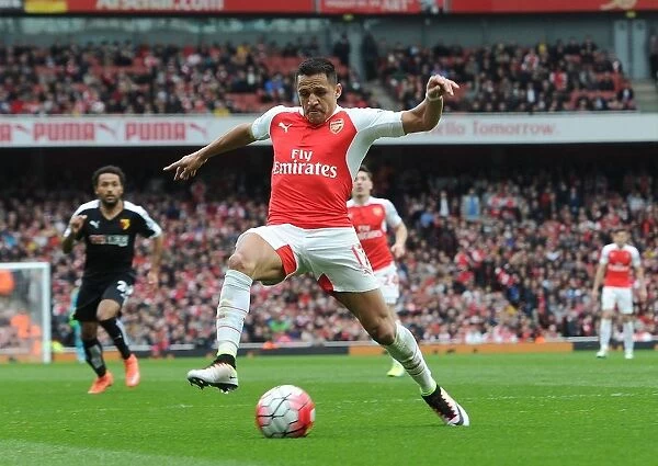 Alexis Sanchez: In Action for Arsenal Against Watford, Premier League 2015-16