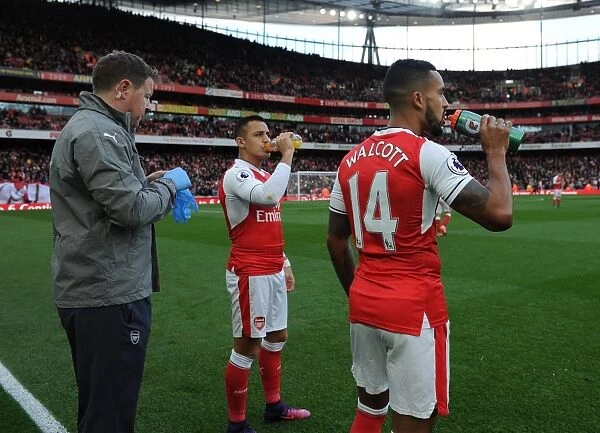 Arsenal Duo Theo Walcott and Alexis Sanchez Prepare for Kick-off Against Middlesbrough (2016-17)