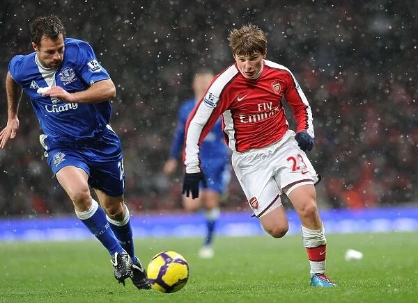 Arsenal vs Everton: Ardrey Arshavin vs Lucas Neill - 2-2 Stalemate at Emirates Stadium, Premier League 2010