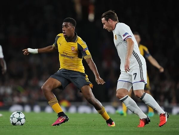 Arsenal vs. FC Basel: Alex Iwobi Goes Head-to-Head in 2016-17 Champions League Showdown