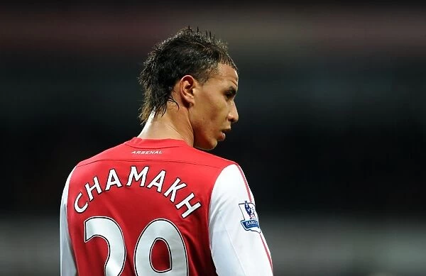 Arsenal vs Leeds United: FA Cup Clash - Marouane Chamakh in Action