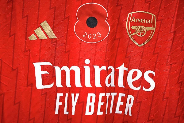 Arsenal vs Manchester City - Barclays Women's Super League: Poppies in Honor (2023-24)