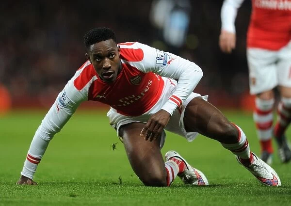 Arsenal vs Newcastle United: Danny Welbeck in Action at the Emirates Stadium (Premier League 2014 / 15)