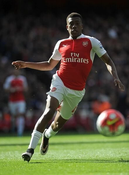 Arsenal's Alex Iwobi in Action Against Crystal Palace, Premier League 2015-16
