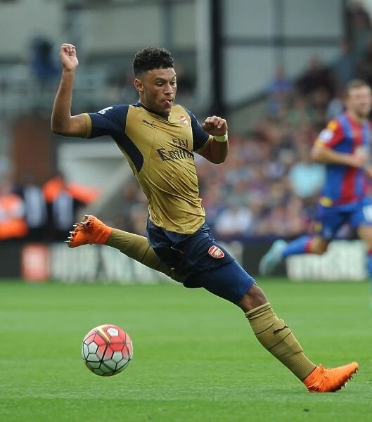 Arsenal's Alex Oxlade-Chamberlain in Action Against Crystal Palace (2015-16)