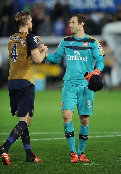 Arsenal's Cech and Mertesacker Share a Moment after Swansea Victory (2015-16)