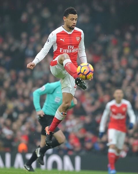 Arsenal's Coquelin in Action against Hull City (Premier League 2016-17)
