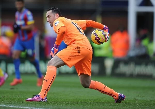 Arsenal's David Ospina in Action Against Crystal Palace (2014-15)