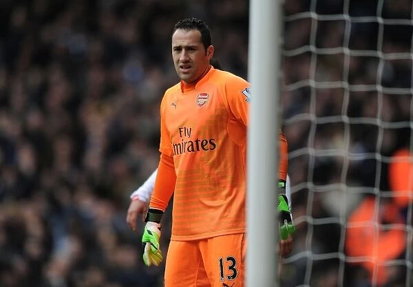 Arsenal's David Ospina in Action Against Tottenham Hotspur in the Premier League, London 2015