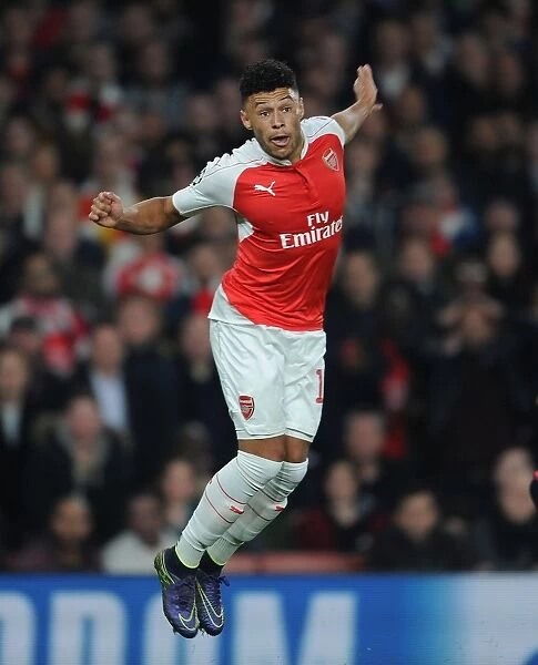 Arsenal's Oxlade-Chamberlain in Action against FC Bayern Munich - UEFA Champions League 2015 / 16
