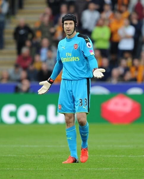 Arsenal's Petr Cech in Action: Hull City vs Arsenal (2016-17)