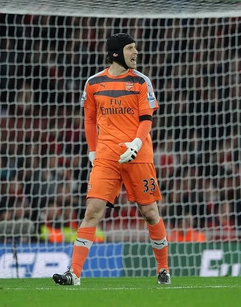 Arsenal's Petr Cech in Focus: Arsenal v Bournemouth (December 2015)