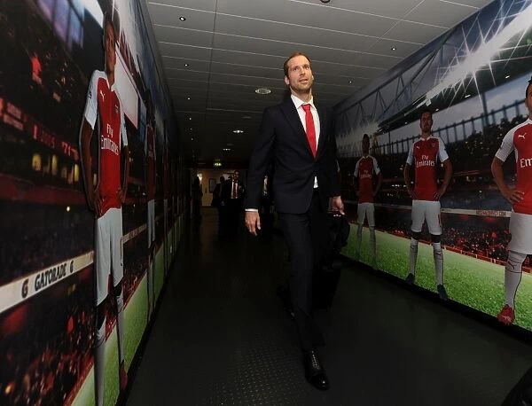 Arsenal's Petr Cech Gears Up for Arsenal vs. Stoke City (2015-16)