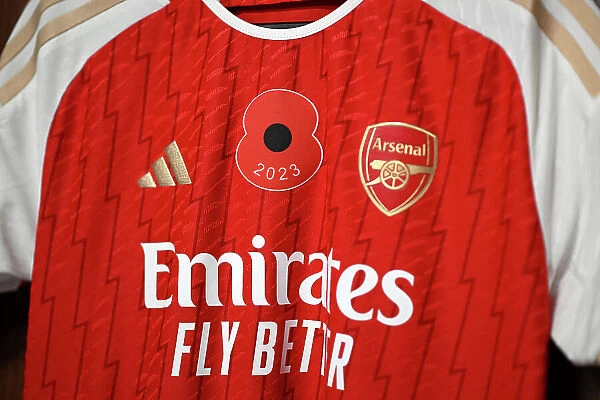 Arsenal's Poppy-Adorned Shirts in Leicester City vs Arsenal FC, Barclays Women's Super League (2023-24)