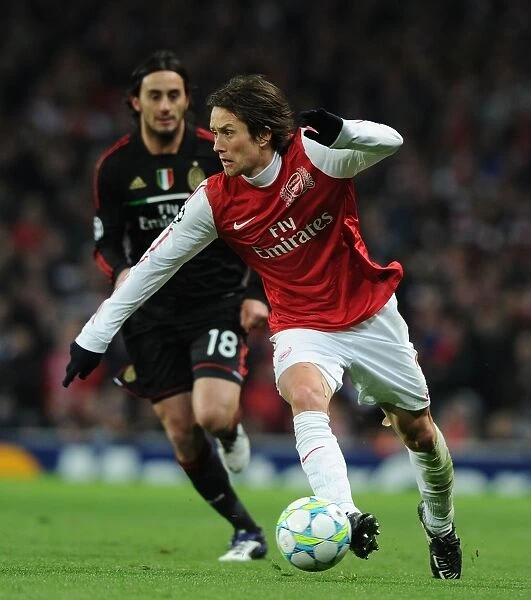 Arsenal's Rosicky Fights for Victory against AC Milan in 2012 Champions League