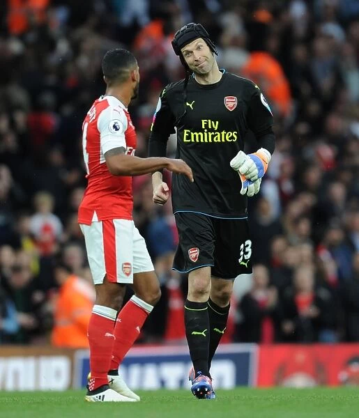 Arsenal's Theo Walcott and Petr Cech Celebrate Victory over Swansea City (2016-17)