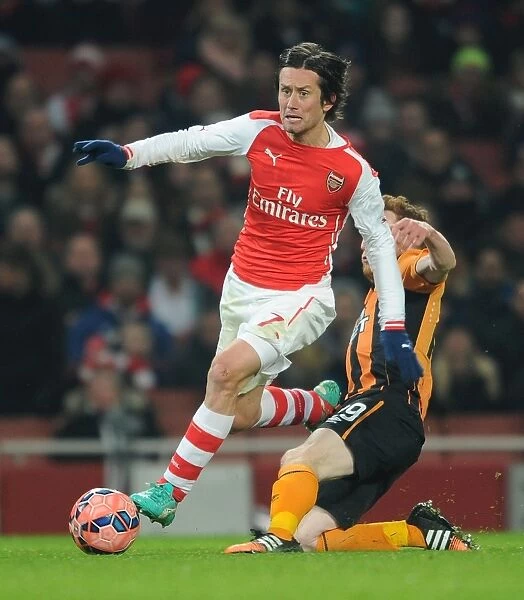 Arsenal's Tomas Rosicky Clashes with Hull City's Stephen Quinn in FA Cup Third Round