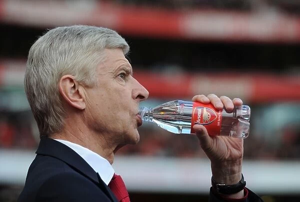 Arsene Wenger: Arsenal Manager Before Arsenal vs Crystal Palace, Premier League 2015-16