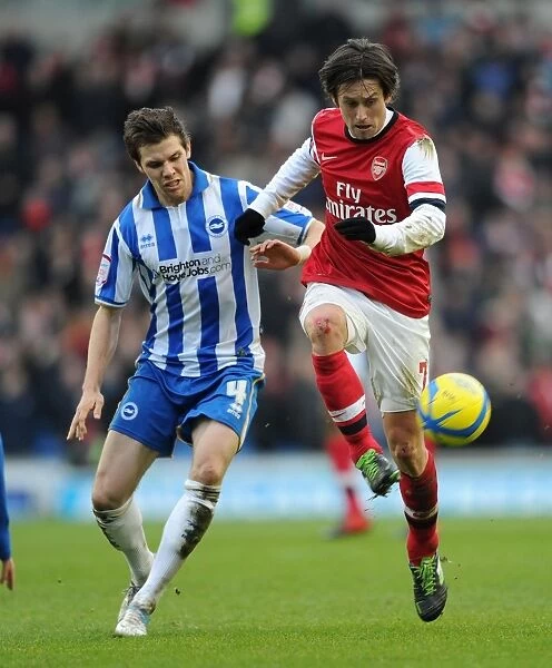 Brighton vs. Arsenal: Rosicky Faces Off Against Hammond in FA Cup Clash