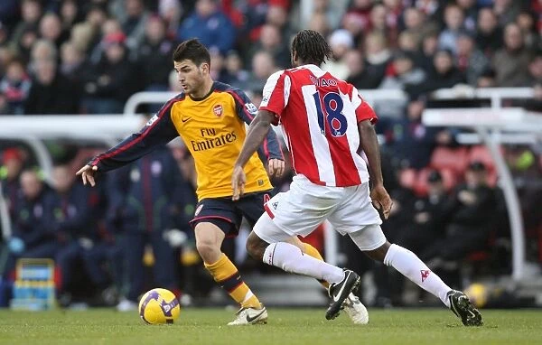Cesc Fabregas Leads Arsenal to Victory over Stoke: 1-2