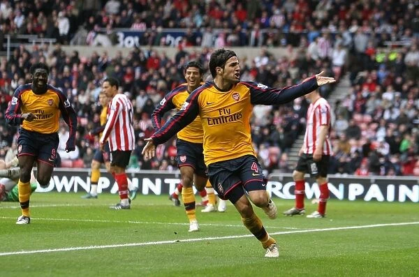 Cesc Fabregas Thrilling Goal: Arsenal vs. Sunderland, 2008
