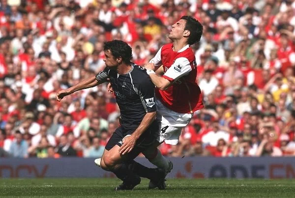 Cesc Fabregas vs. Gary Speed: Arsenal's Narrow Victory Over Bolton Wanderers, FA Premiership, 2007