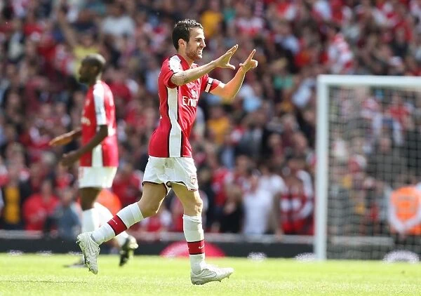 Cesc Fabregas's Brilliant Goal: Arsenal Takes a 2-0 Lead Over Middlesbrough in the Premier League