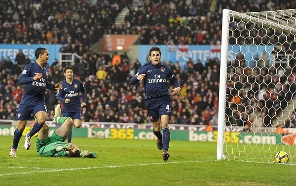 Cesc Fabregas's Brilliant Strike: Arsenal's Winning Moment vs Stoke City (27 / 2 / 2010)