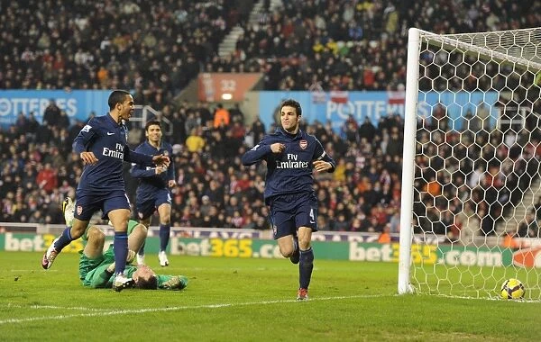 Cesc Fabregas's Brilliant Strike: Arsenal's Triumph over Stoke City (27 / 2 / 2010)