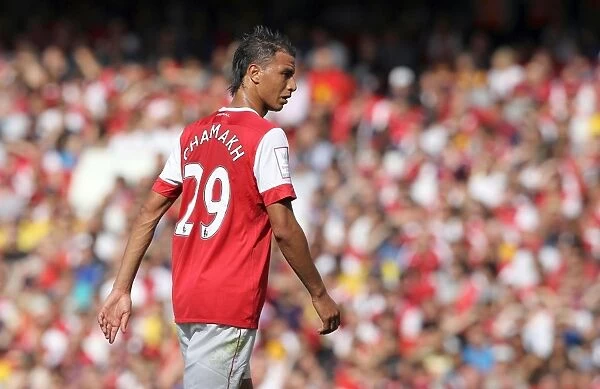 Chamakh's Stalemate: Arsenal vs AC Milan at Emirates Cup Pre-Season 2010