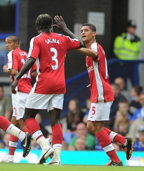 Denilson's Historic First Goal: Arsenal's R rout at Everton (6-1)