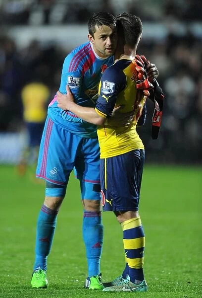 Fabianski and Wilshere: A Meeting of Rivals on the Swansea Field (Swansea v Arsenal 2014-15)