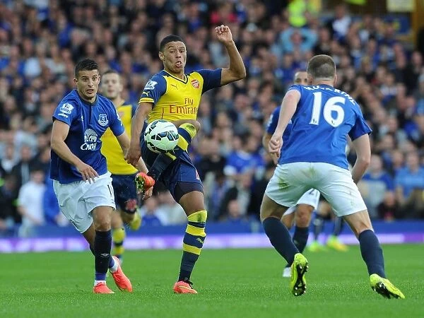 Intense Battle: Oxlade-Chamberlain vs. Merallas & McCarthy - Everton vs. Arsenal, Premier League 2014 / 15