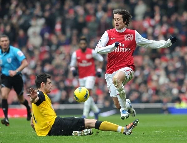 Intense Clash: Rosicky vs. Dann in Arsenal's Premier League Battle