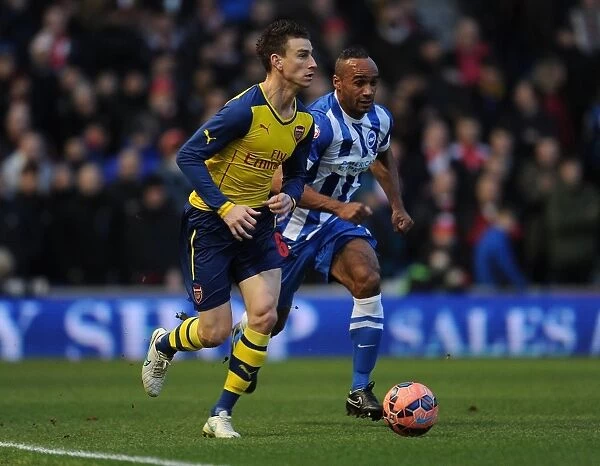 Laurent Koscielny Outmuscles Chris O'Grady in FA Cup Clash: Brighton vs Arsenal