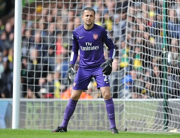Lukasz Fabianski: Arsenal Goalkeeper in Action Against Norwich City (2013-14)