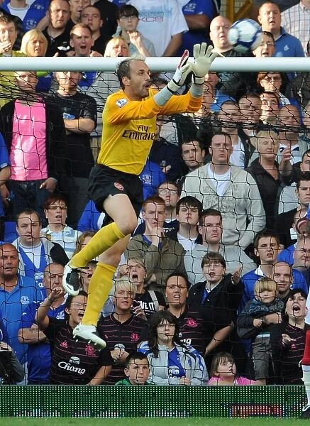 Manuel Almunia's Unforgettable Night: Arsenal's 6-1 Thrashing of Everton in the Premier League, August 2009