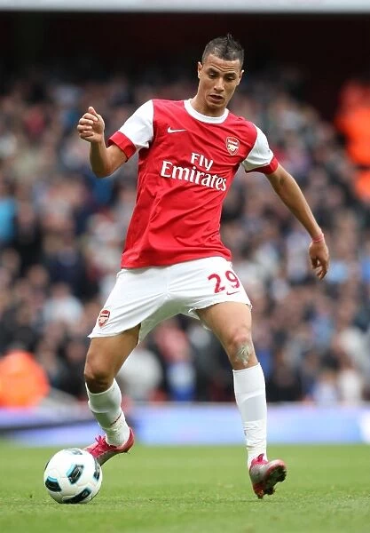 Marouane Chamakh Scores the Winning Goal: Arsenal 2-1 Birmingham City, Premier League